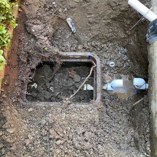 90331186_3344170282263019_3410712746130407424_n-rasm1cp98ce4chfhibdexhivnewcs171qf6700x214